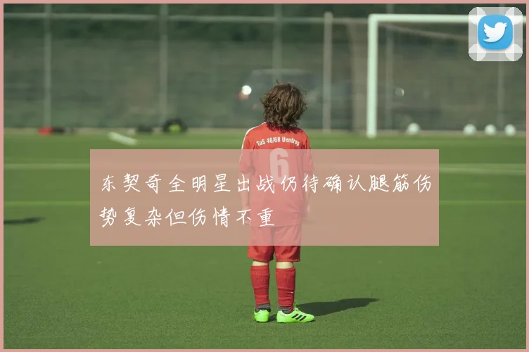 东契奇全明星出战仍待确认腿筋伤势复杂但伤情不重
